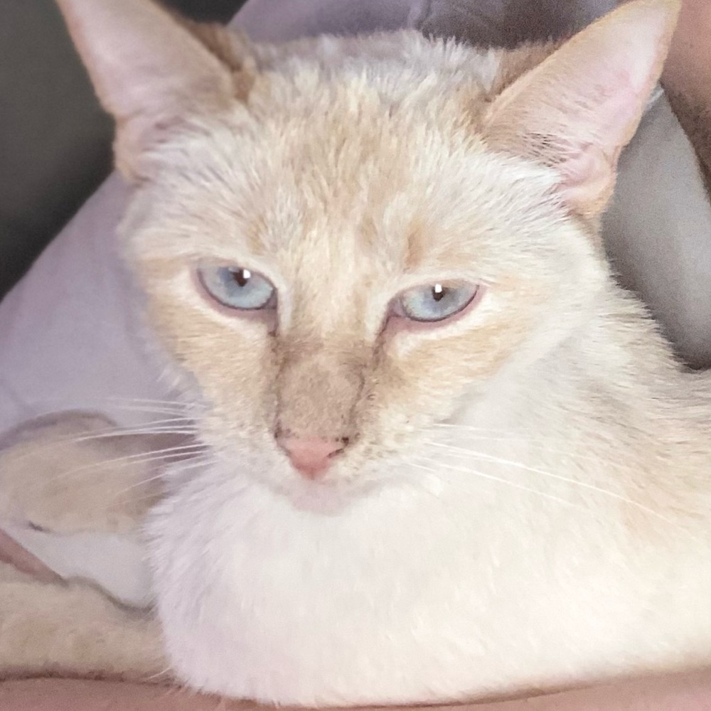 Meet your Posher, Scott